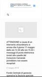 Mobile Screenshot of consorziocamerale.eu